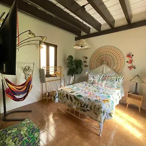The Garden Apartment, The Willow Apartment, & The Tropical At Casa Of Essence In Old Apartamento San Juan